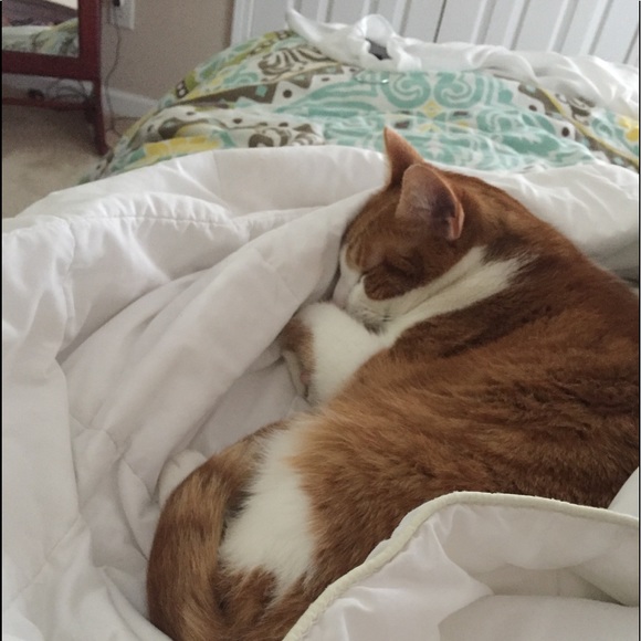 Meet your Posher, Pat - Picture 1 of 1